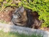 02.04.2019 16-40-12_0080.jpg.tiger.jpg