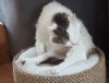 10.05.2019 15-08-02_0030.jpg.timmy.jpg
