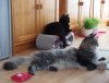 03.05.2019 11-51-50_0007.jpg.sancho&tiffany.jpg