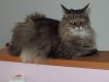 28.05.2019 15-25-10_0018.jpg.sancho.jpg