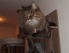 09.09.2019 23-48-47_0004.jpg.sancho.jpg