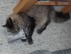 25.10.2019 11-01-16_0106.jpg.sancho.jpg
