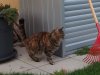 25.10.2019 16-53-10_0161.jpg.lilly.jpg