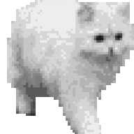 Nisi