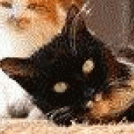 Mela