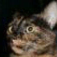 wir_drei