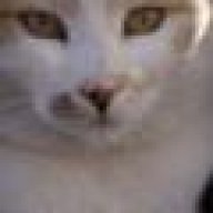 WolframLisa