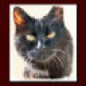 BigCat