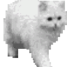 Nisi