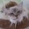 squeezme