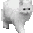 Nisi