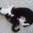 Mokka&Muffin